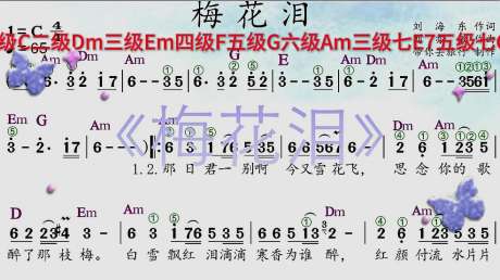 有声简谱《梅花泪》标和弦加指法反复的很完整建议收藏