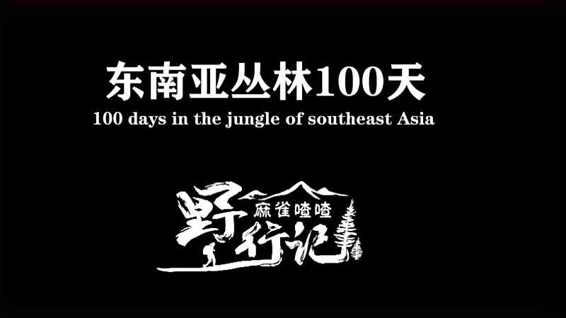 女子东南亚丛林生存100天 这要多大的勇气 只争朝夕 不负韶华
